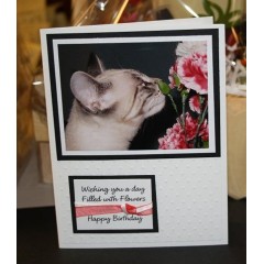 Cat Birthday Greeting Card - Snuffles